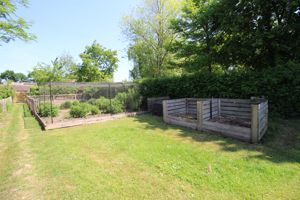 Veggie Patch- click for photo gallery